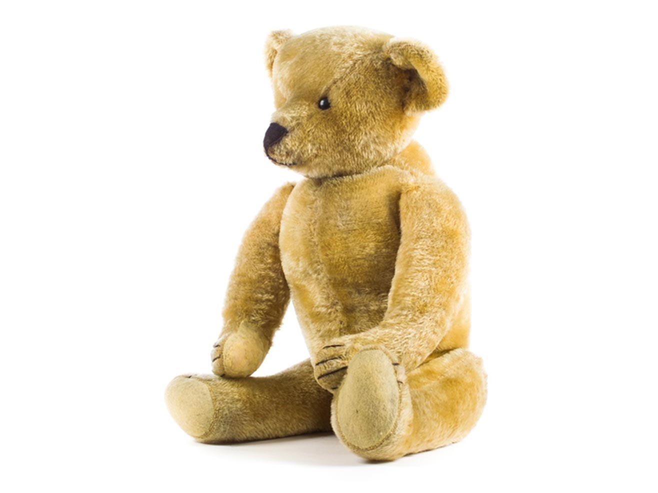 Teddy bear